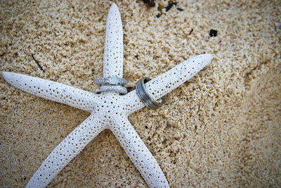 The Best of a Grand Cayman Cruise Wedding - image 1 The Best of a Grand Cayman Cruise Wedding - image 1
