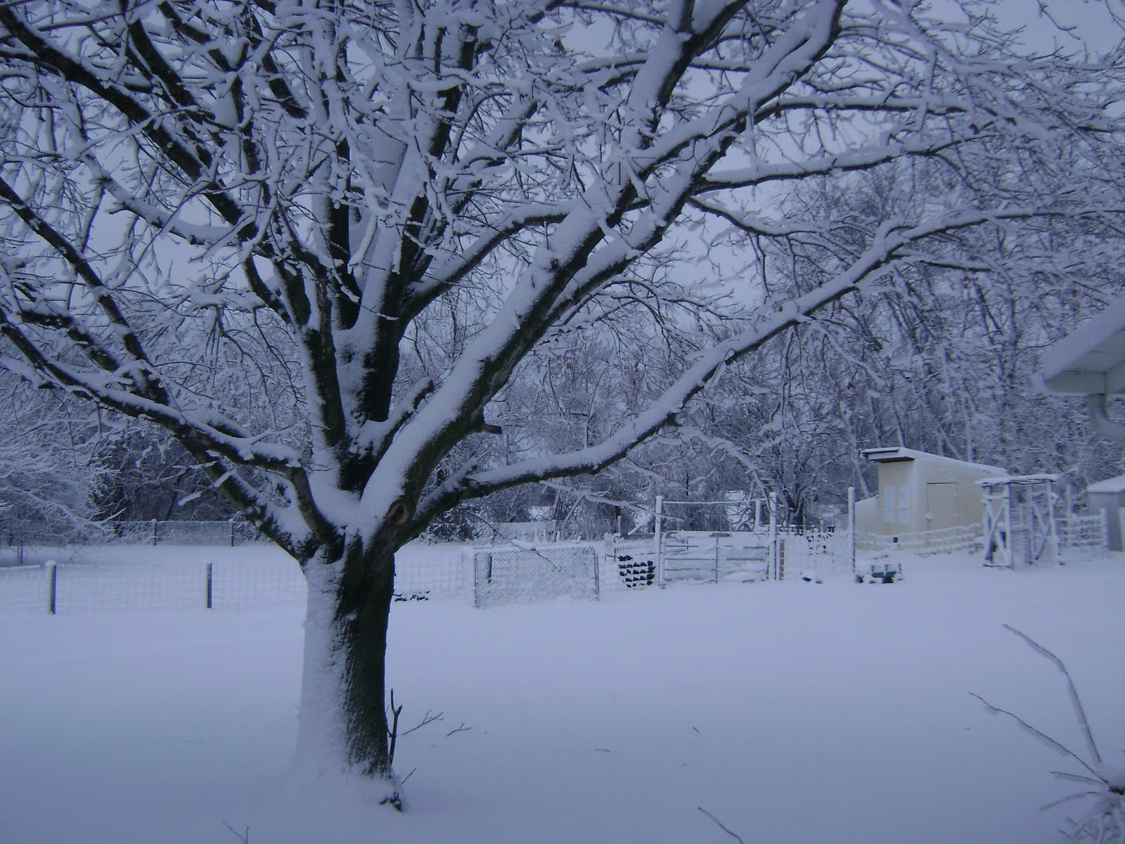 Katiegirl: January 2011