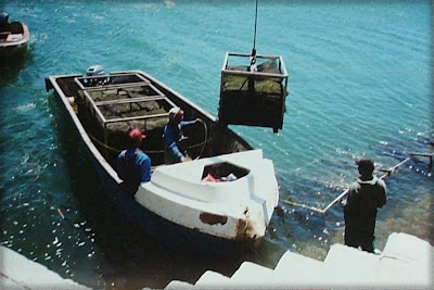 Oyster Catcher boat