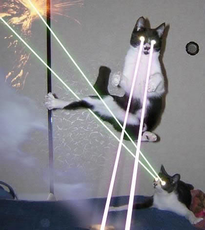 [LaserCat-1.jpg]