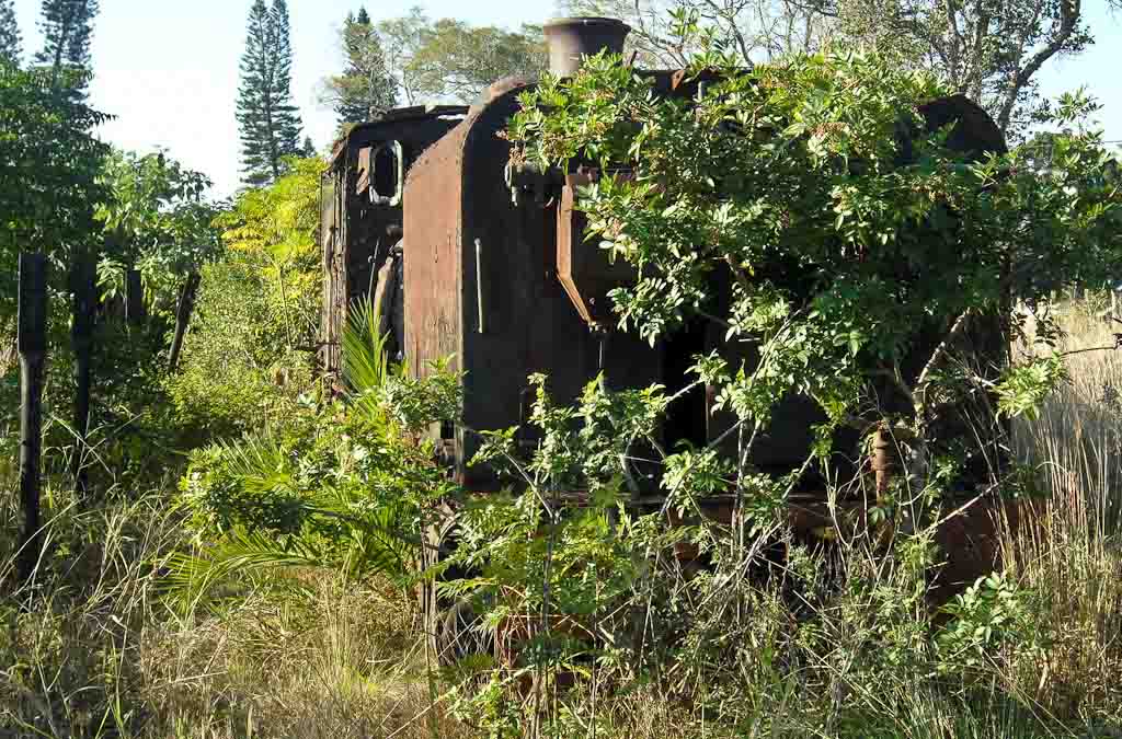 Locomotive+graveyard