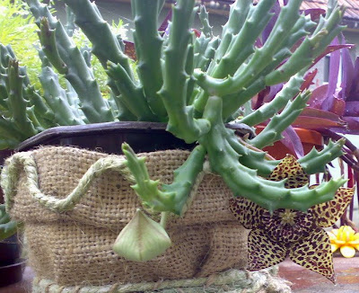 Heklanje Mustre Heklanje Mustre