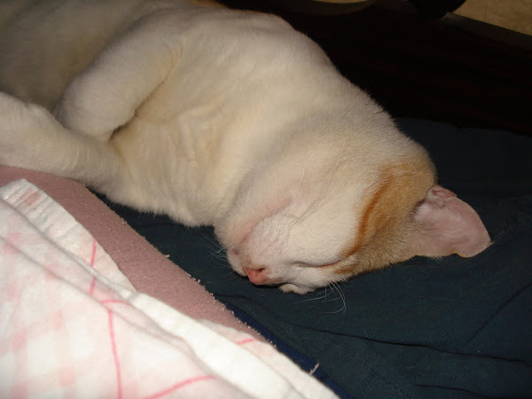 Que este seja o meu legado aos visitantes!