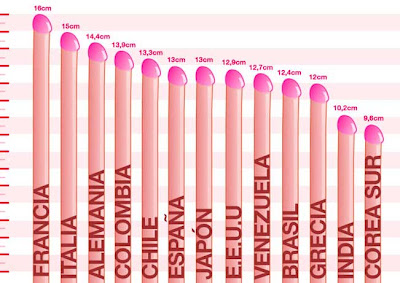 penes según su forma el pene posee distintos tamaños formas