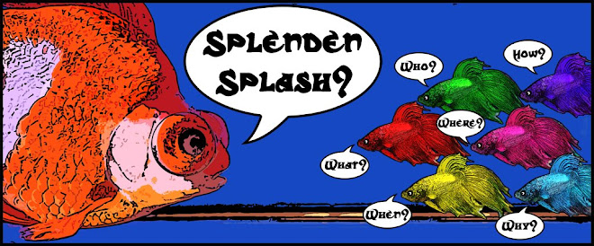 SplendensSplash!