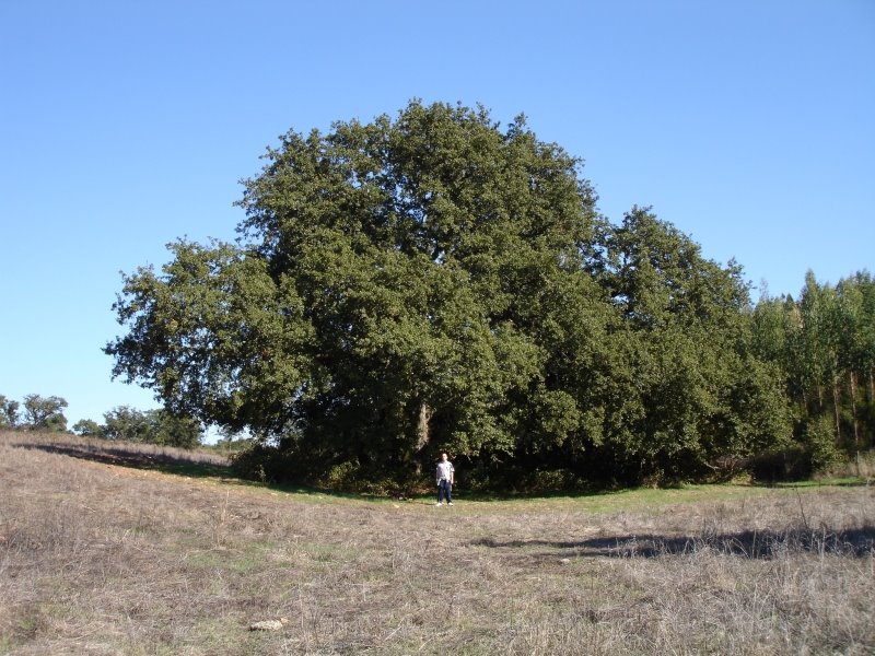 [DSC07214.JPG]
