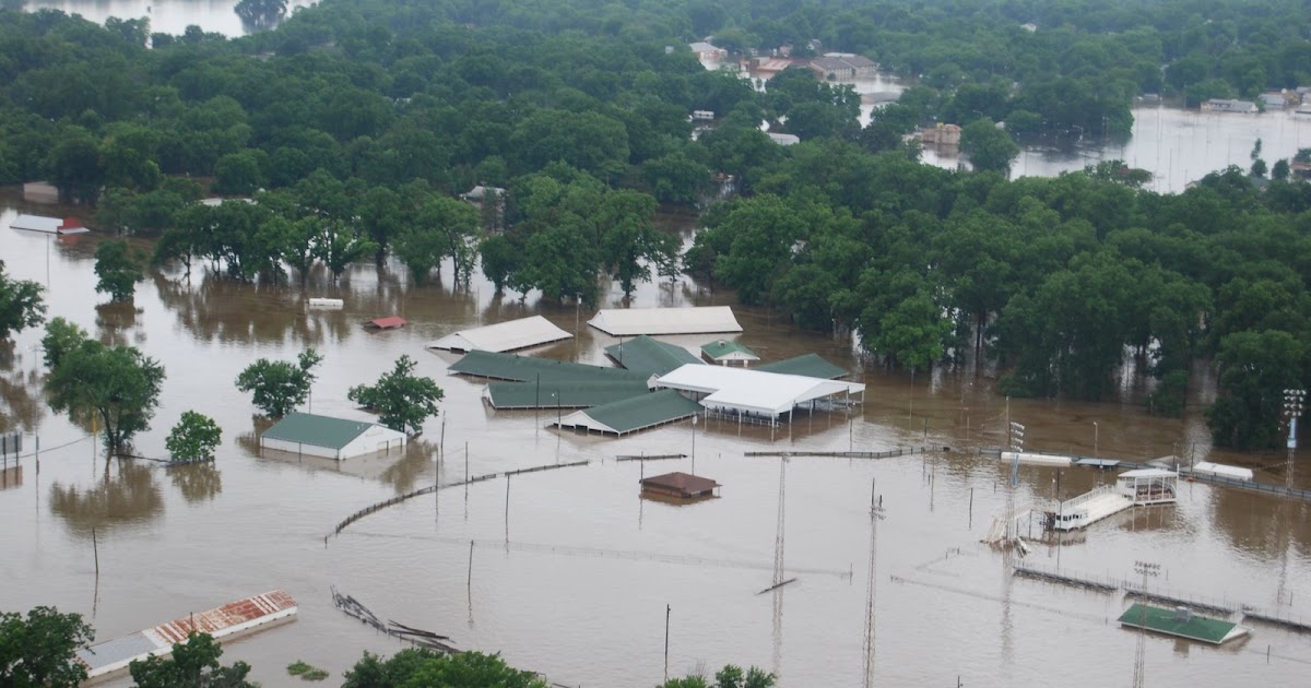 Travel With Whippets Anxious Weather in Coffeyville Kansas!