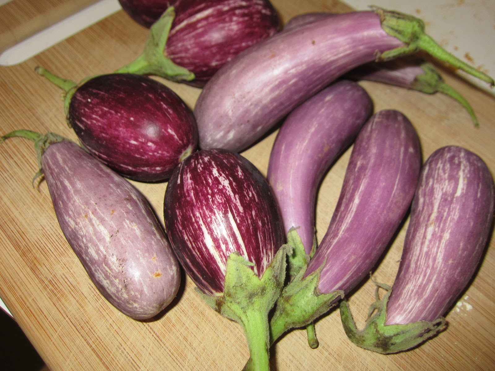 raspberry eggplant South Indian Baby Eggplant Curry