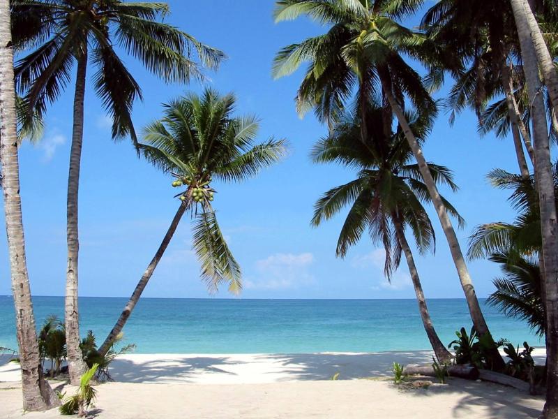 [beach+2.jpg]