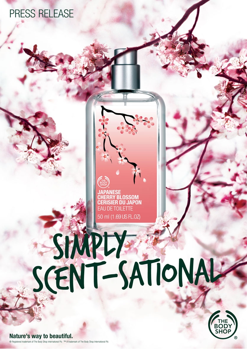 Chocolate Cats The Body Shop Japanese Cherry Blossom