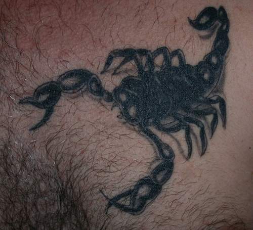 scorpio sign tattoos. Zodiac Symbol Tattoos scorpio
