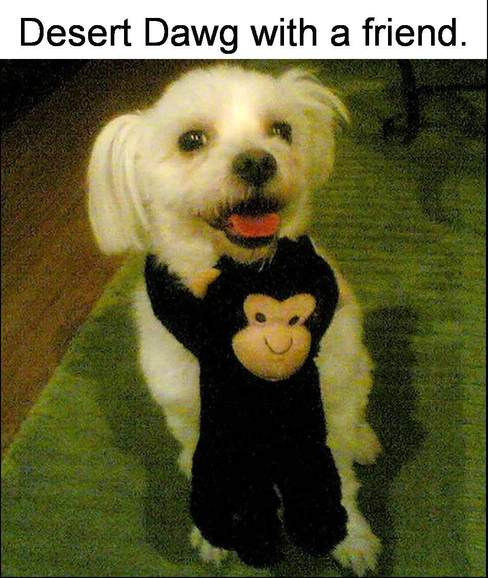 [DD.jpg]