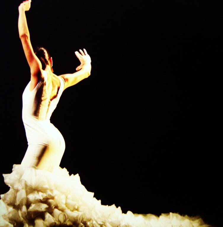 Flamenco dancer twirling the dancer wallpaper. Flamenco dancer twirling the