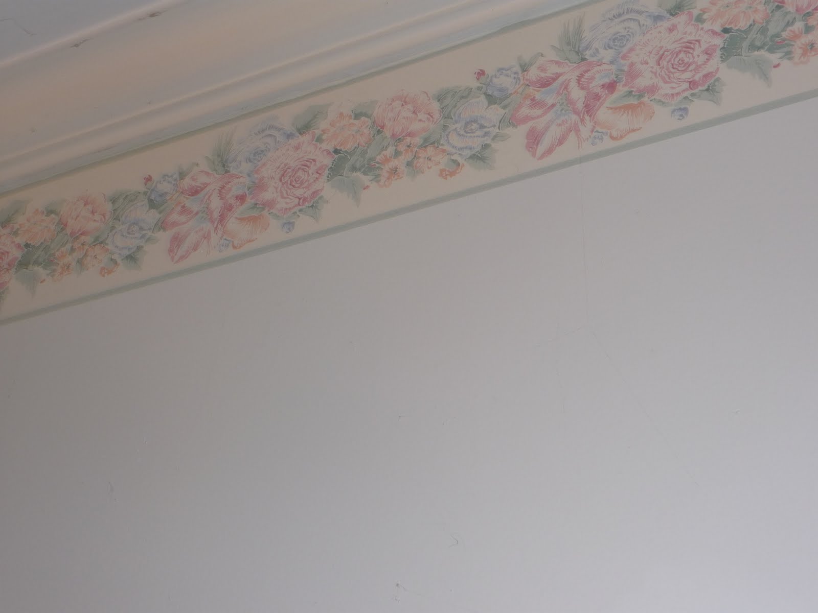 Holy wallpaper border batman - looks what's beautifying our master ...