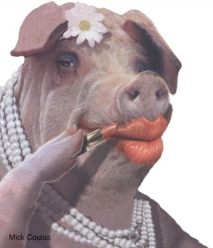 [lipstickpig.jpg]