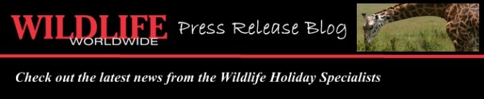 Wildlife Worldwide Press Releases