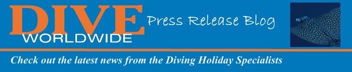 Dive Worldwide Press Releases