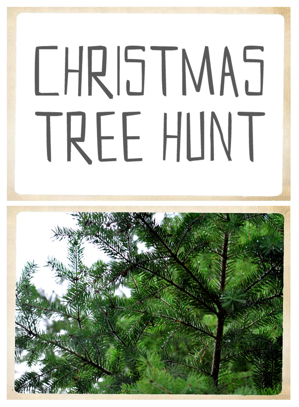 JENNBLECH christmas tree hunt