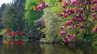 Japanese landscape at Parc oriental de Maulévrier (Oriental park of Maulévrier)