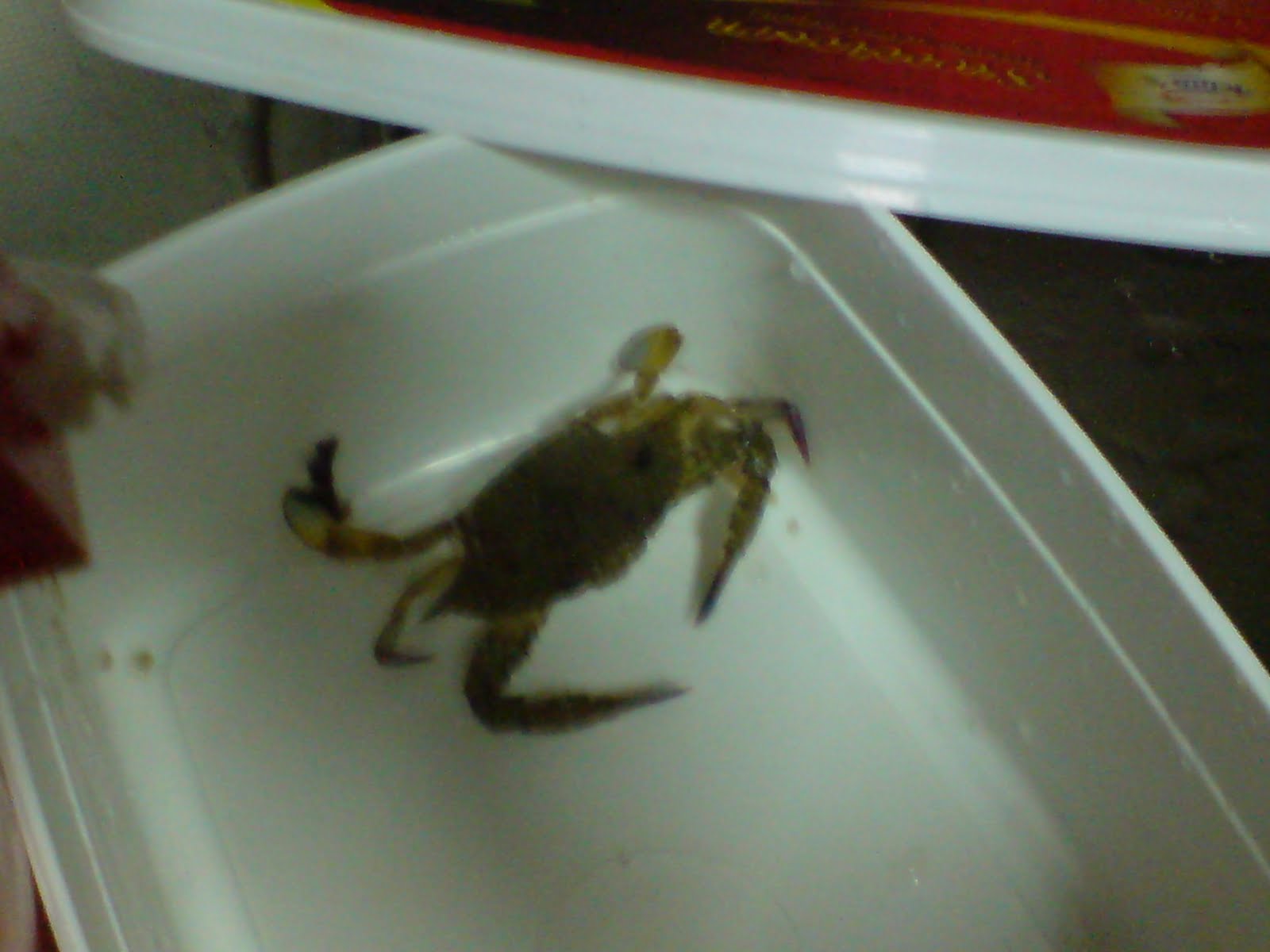 [DSC00007+(2).JPG]