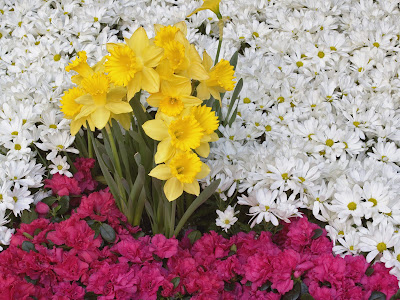 Wallpaper Flower Mix Gallery computer wallpaper flowers. Wallpaper Flower Mix Gallery