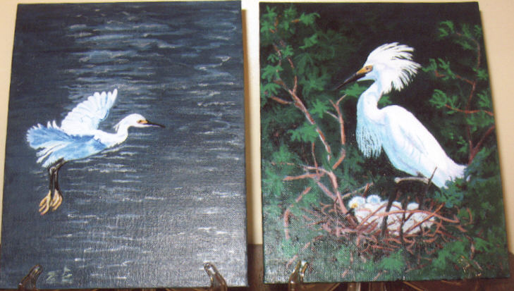 [Egrets.jpg]