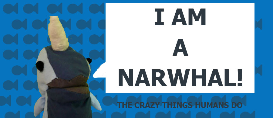 I'm a Narwhal!