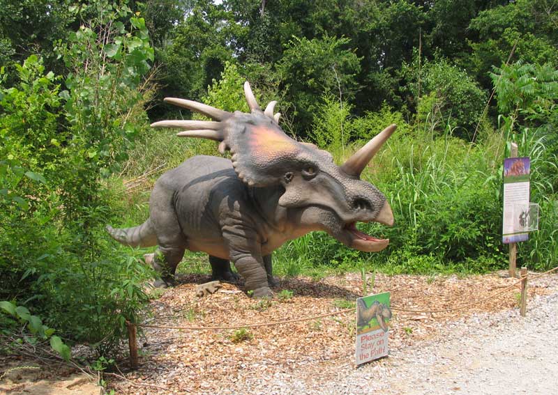 Louisville Fossils and Beyond Dinosaurs! at Louisville Zoo