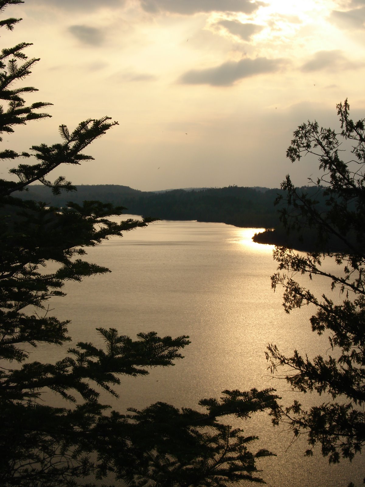 [DSC00217.JPG]