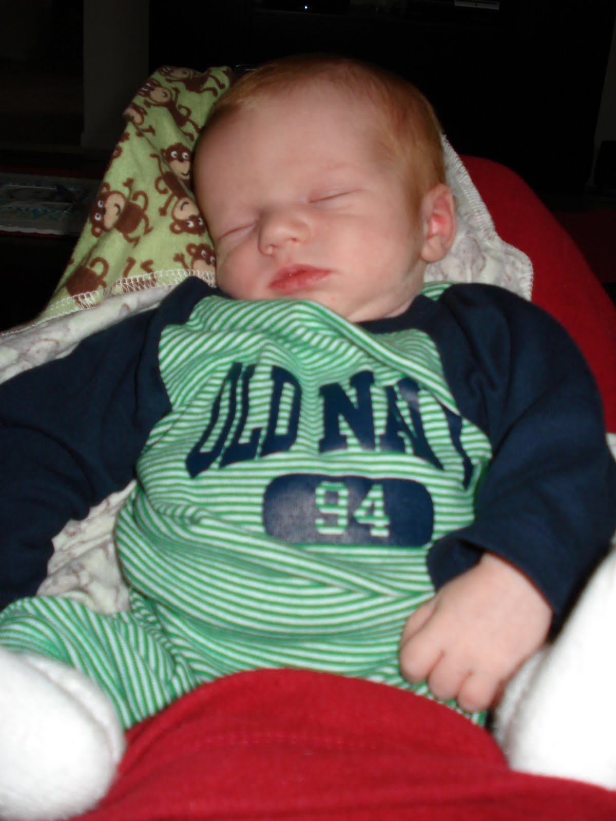 [DSC01109.JPG]