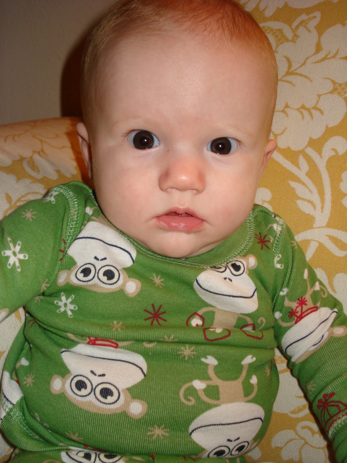 [DSC01737.JPG]