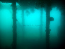 BEAMS OF WWII's LIBERTY WRECK