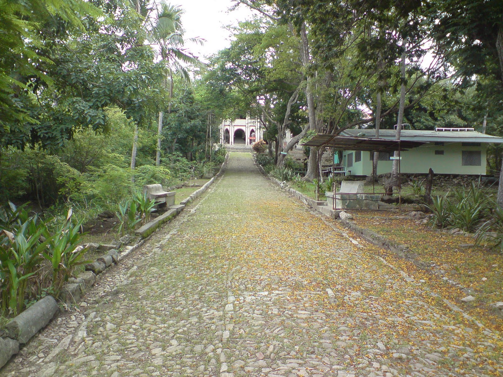 Meet Costa Rica!!!!!! San Lucas Island