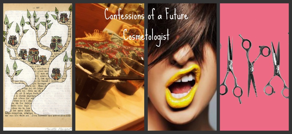 Confessions of a Future Cosmetologist