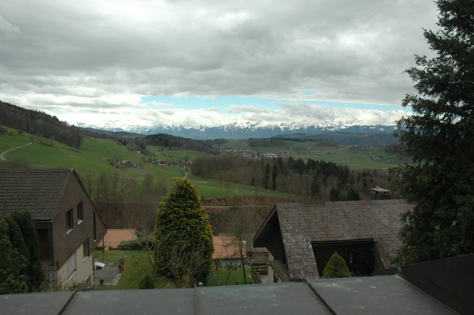 [DSC_0183.JPG]