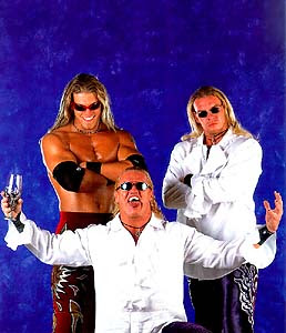 during The Attitude Era