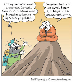 Resim
