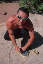 snakestevie.jpg