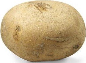 [jicama+]