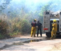 Firemen at a grass fire in St Davids.