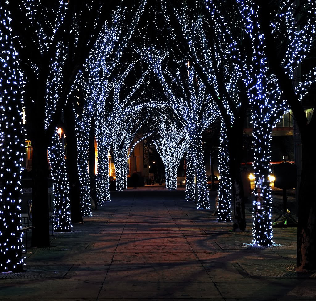 [xmas+lights.bmp]