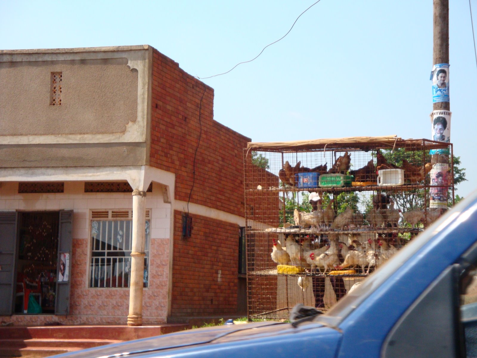[DecemberF2008+013.JPG]
