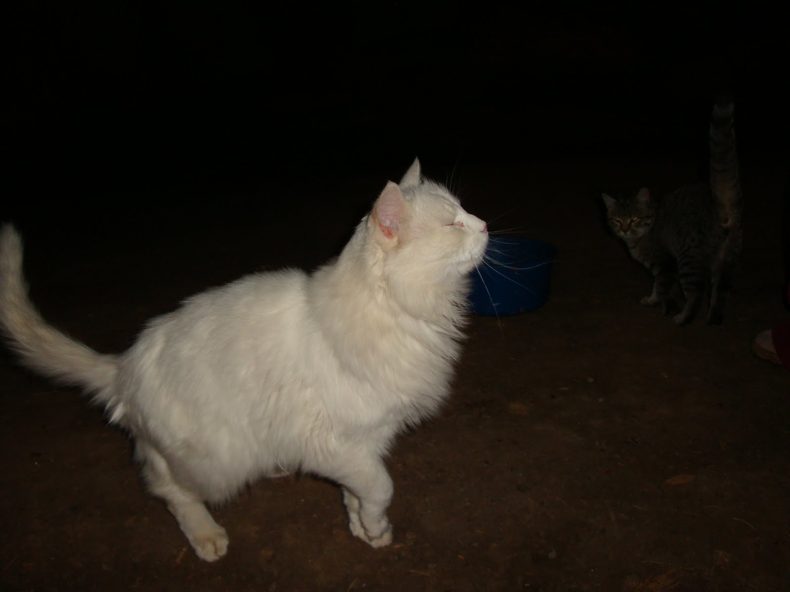[DSC08891.JPG]