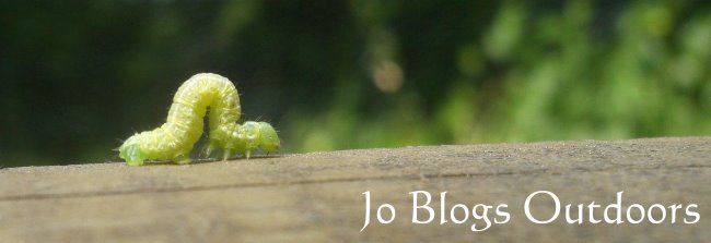 Jo Blogs Outdoors