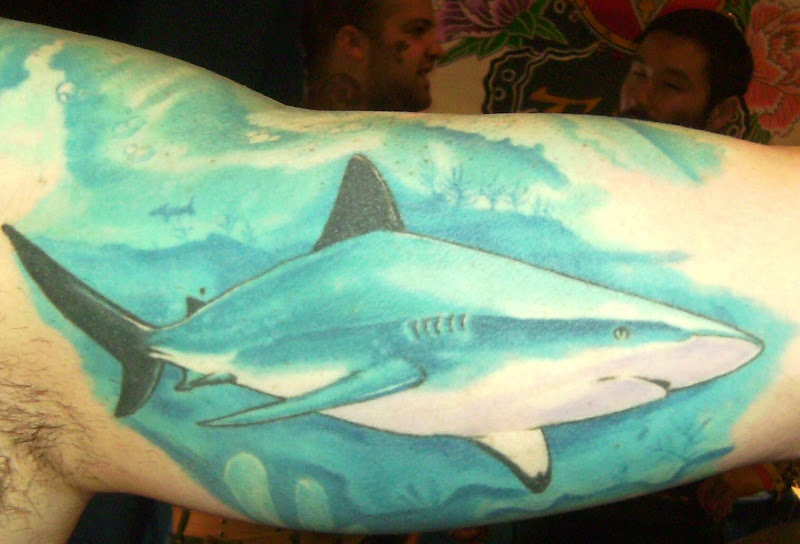 and this amazing Great White shark on the inside of his biceps: title=