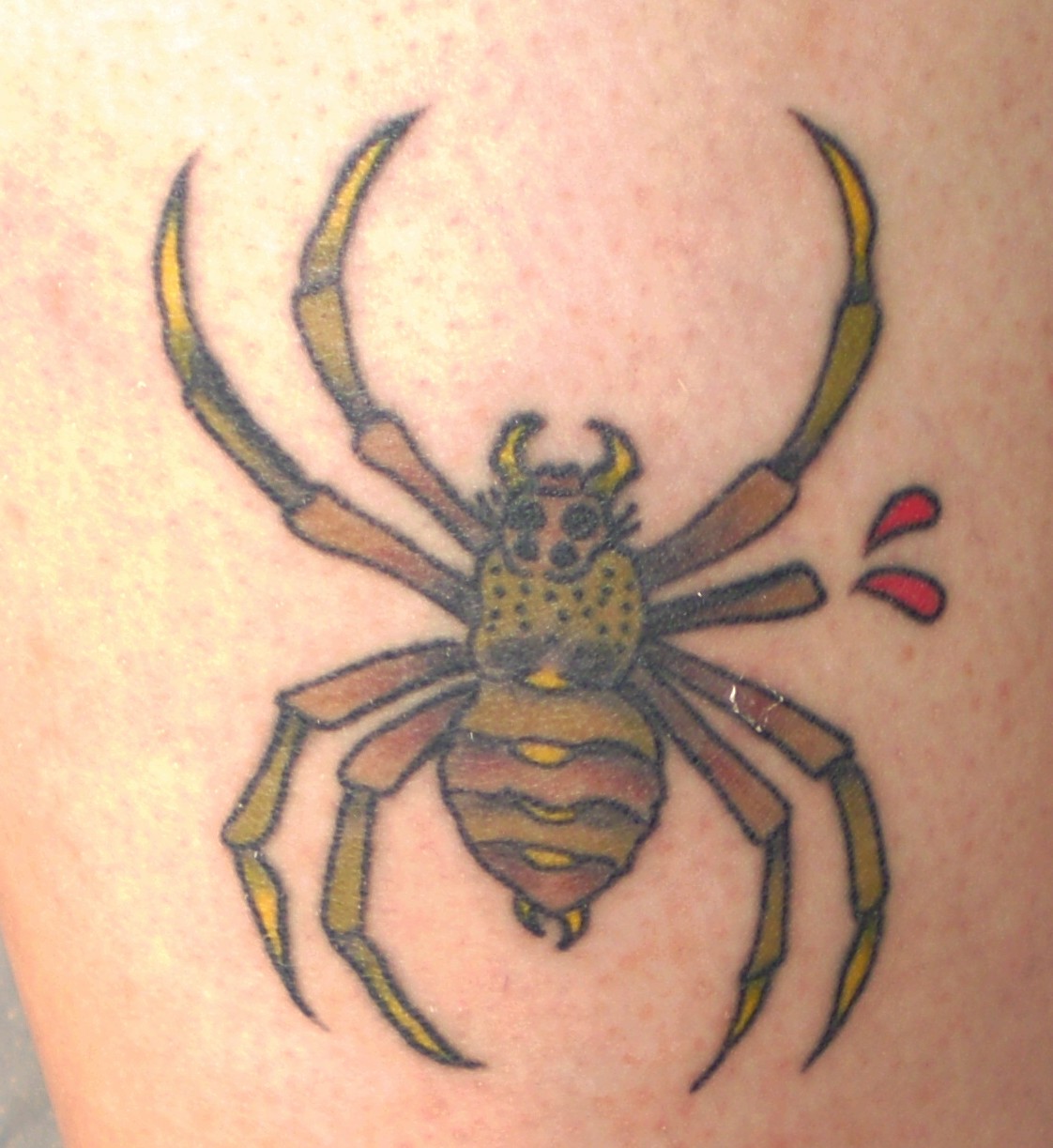 Tattoosday (A Tattoo Blog): Elektra and the Seven-Legged Spider (with Some  Dresden Dolls, to Boot)
