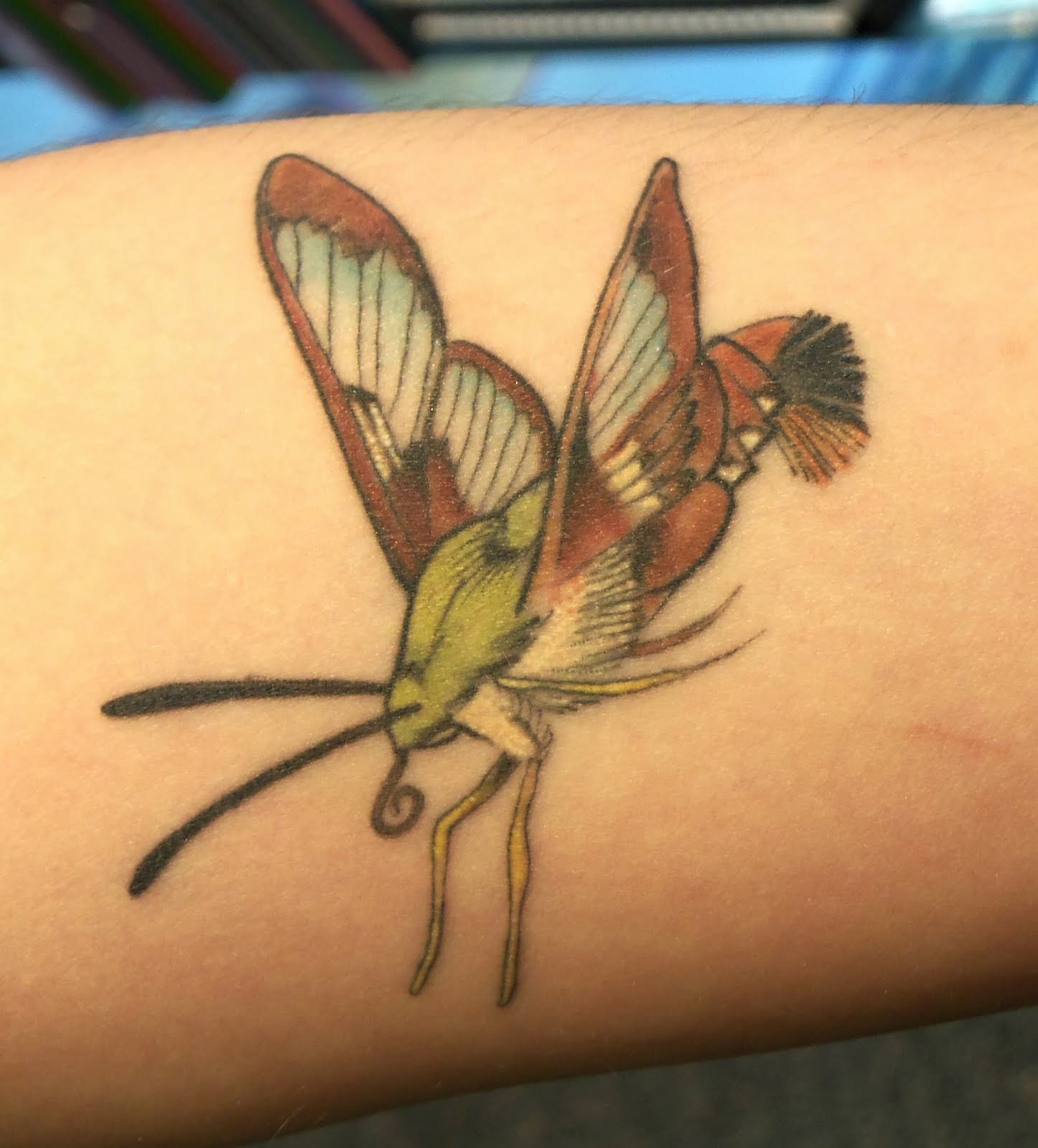 Bio-mechanical tattoos Designs Bio-mechanical tattoos Designs