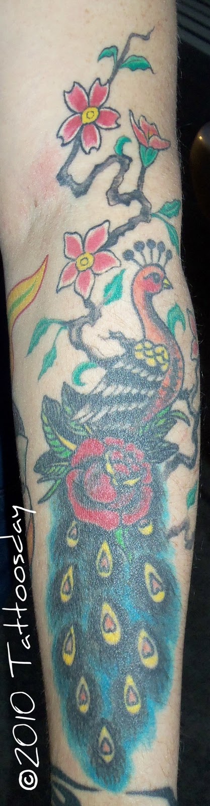 Pacific+dogwood+tattoo