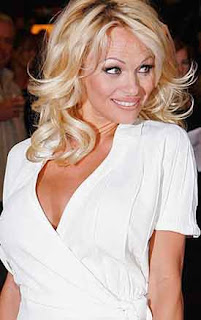 Baywatch Star Pamela Anderson adopts stray dogs Baywatch Star Pamela Anderson adopts stray dogs