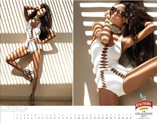 Kingfisher Calendar 2011 - December Kingfisher Calendar 2011 - December